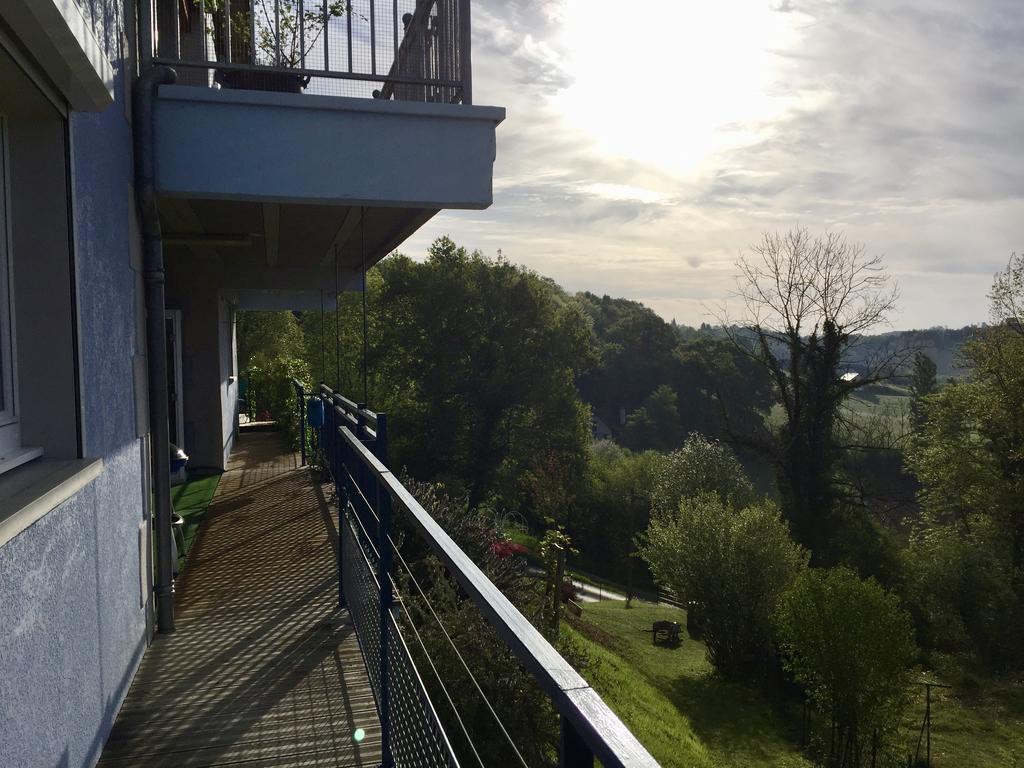 Les Gites De La Maison Bleue D'Estialescq Dış mekan fotoğraf